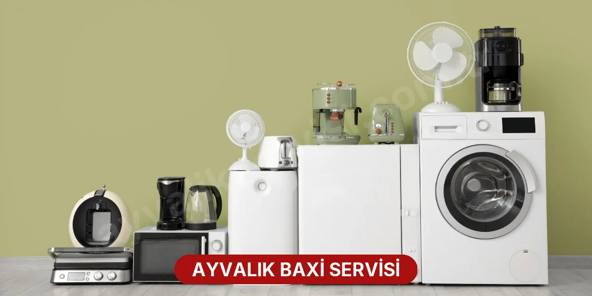 Ayvalık Baxi Servisi