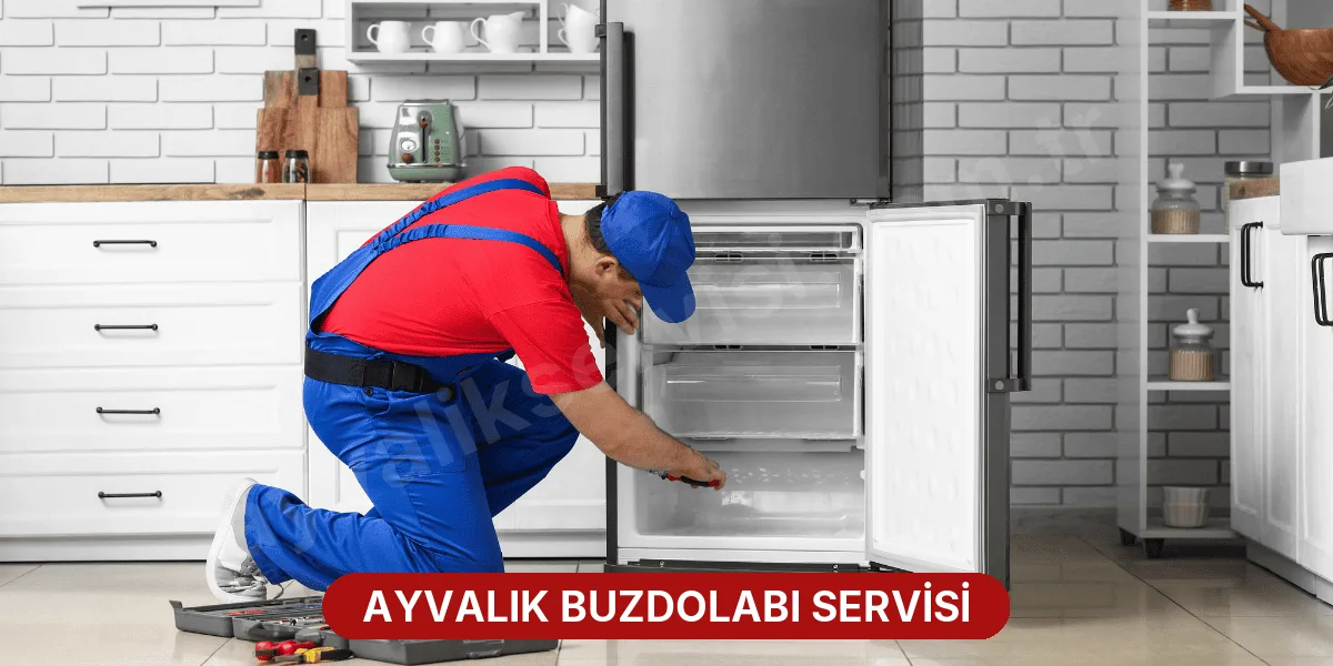 Ayvalık Buzdolabı Servisi
