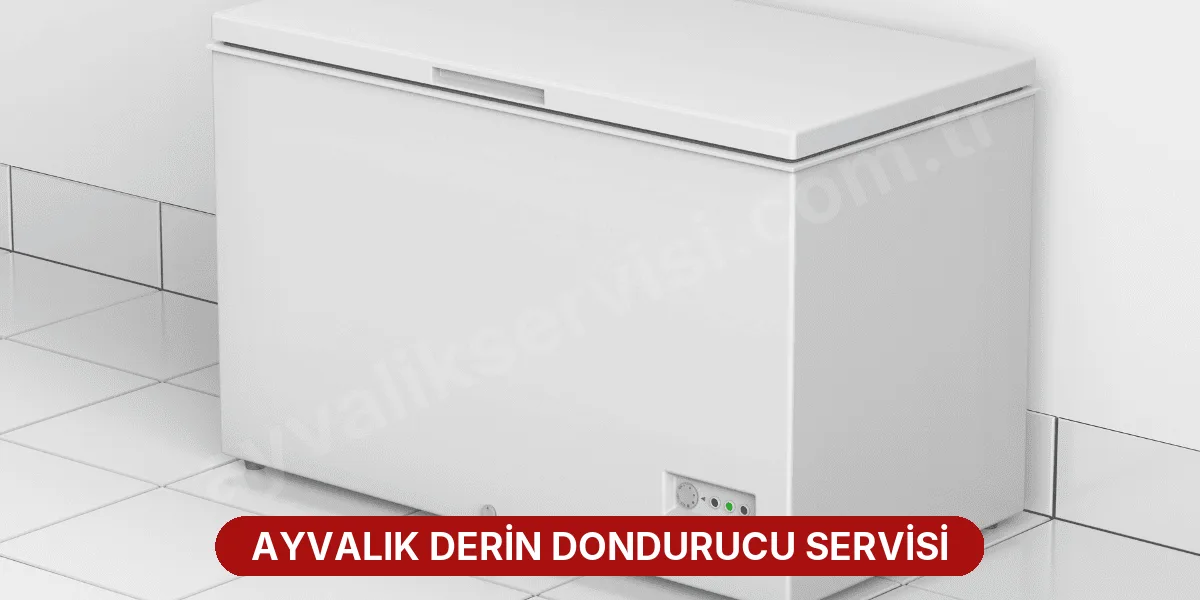 Ayvalık Derin Dondurucu Servisi