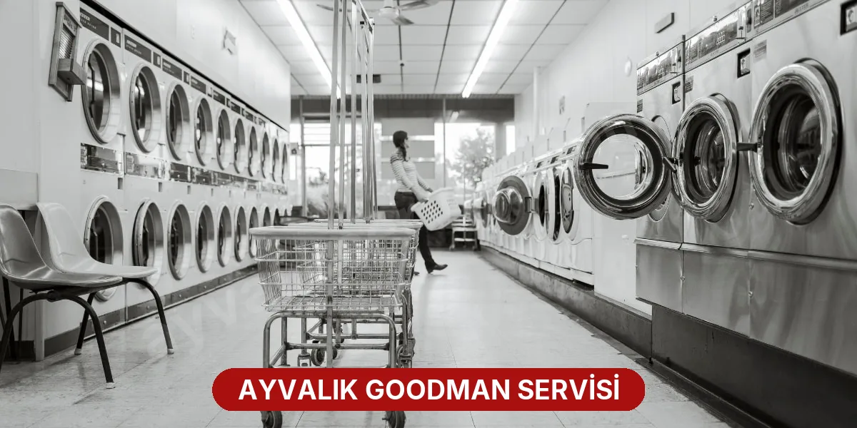 Ayvalık Goodman Servisi