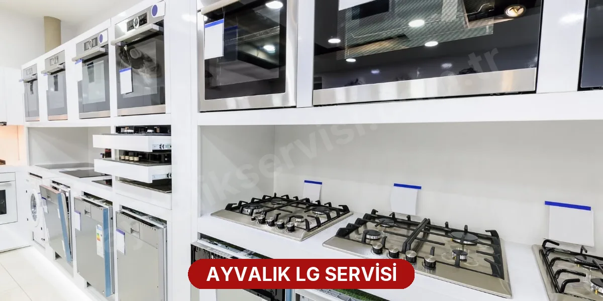 Ayvalık LG Servisi