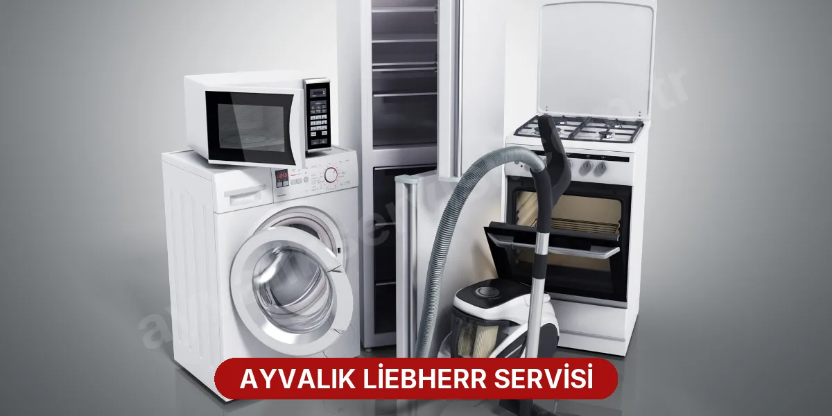 Ayvalık Liebherr Servisi