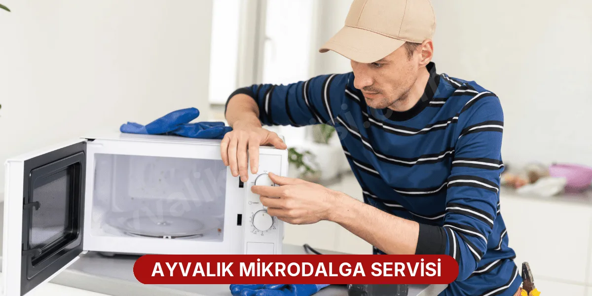 Ayvalık Mikrodalga Servisi