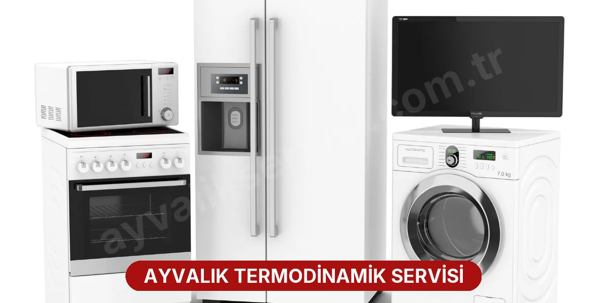 Ayvalık Termodinamik Servisi