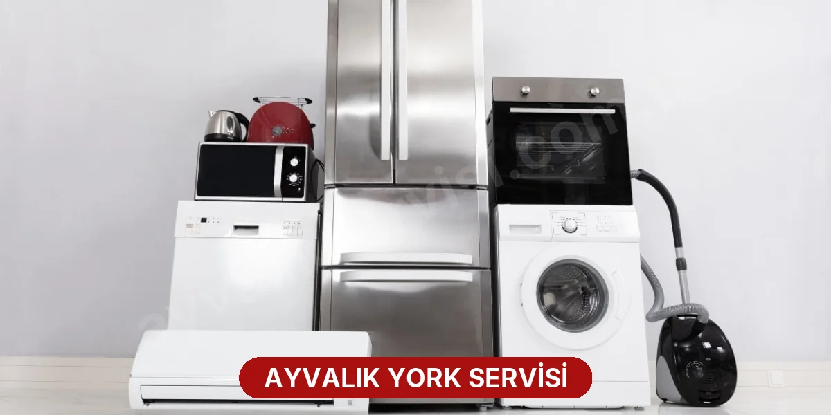 Ayvalık York Servisi